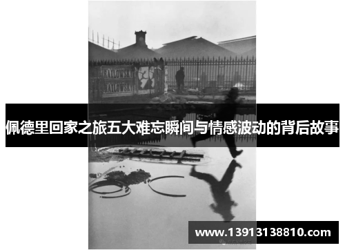 佩德里回家之旅五大难忘瞬间与情感波动的背后故事