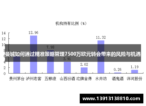 曼城如何通过精准策略管理7500万欧元转会带来的风险与机遇
